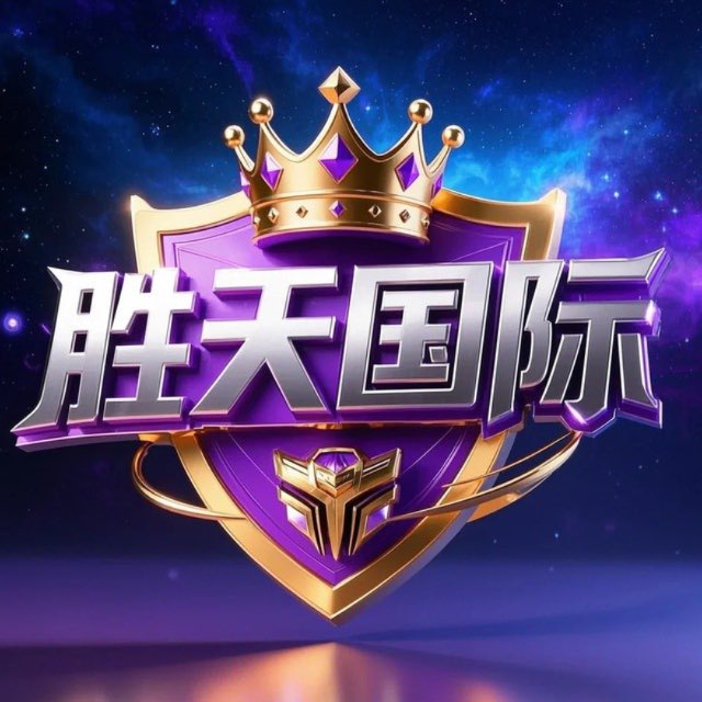 胜天国际 logo